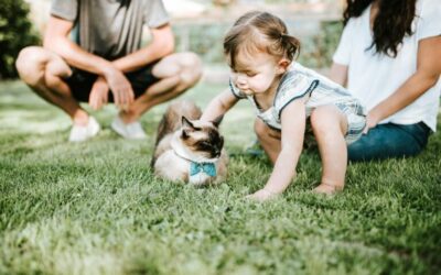 Rodzice dziś – rodzice jutro. Świadomy rodzic. Szczęśliwe dziecko.